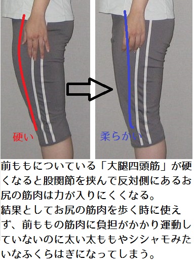 足痩せにストレッチが欠かせない理由 名古屋 栄のo脚改善 下半身ダイエット特化型パーソナルトレーニングジム